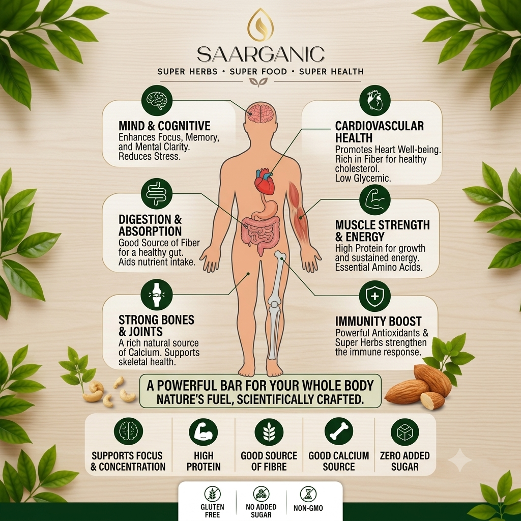 An infographic titled "SAARGANIC" highlighting the human body benefits of a product. A central illustration of a male figure with simplified internal organs is surrounded by six rounded panels. Icons and English text in the panels describe benefits connected to specific body systems. These include "MIND & COGNITIVE," "CARDIOVASCULAR HEALTH," "DIGESTION & ABSORPTION," "MUSCLE STRENGTH & ENERGY," "STRONG BONES & JOINTS," and "IMMUNITY BOOST." A tagline reads, "A POWERFUL BAR FOR YOUR WHOLE BODY NATURE’S FUEL,