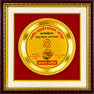 Ayush Expo Recognition certificate